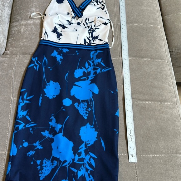 Ted Baker Navy and Cream Elegant Dress - Picture 6 of 15